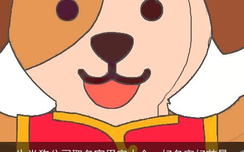 生肖狗公司取名宜用字大全  好名字好前景