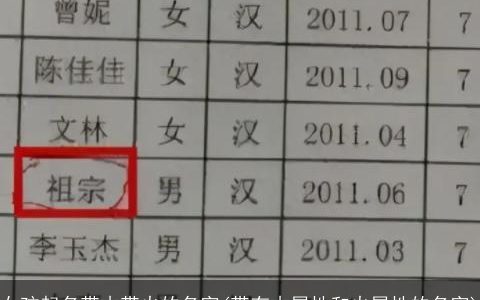 女孩起名带木带火的名字(带有木属性和火属性的名字)