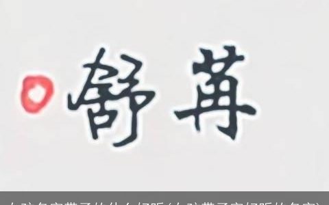 女孩名字带子的什么好听(女孩带子字好听的名字)