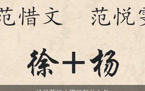 给姓蔡的小男孩起什么名