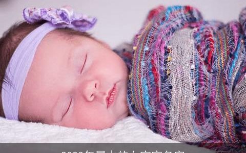 2024年属木的女宝宝名字