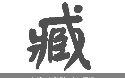 姓臧的男孩叫什么比较好