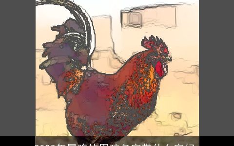 2023年属鸡的男孩名字带什么字好_