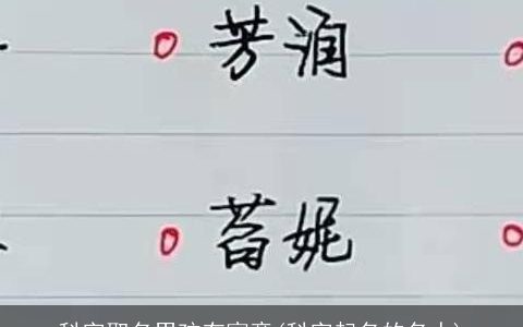 科字取名男孩有寓意(科字起名的名人)
