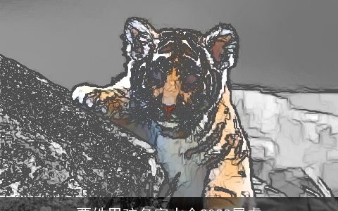 贾姓男孩名字大全2024属龙