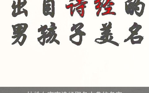 林姓女宝宝诗经取名古典的名字