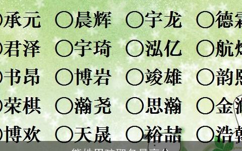 熊姓男孩取名最高分