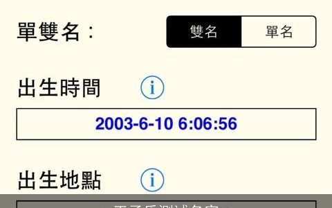王子乐测试名字