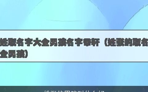 姓张的男孩叫什么好