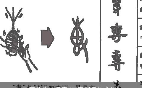 画字开头的名字(画字起名的含义)