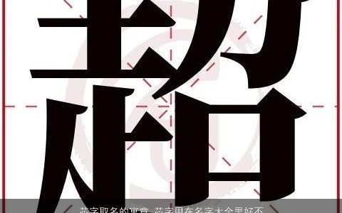 芯字取名的寓意 芯字用在名字大全里好不好  取名网 好听寓意的小孩名字大全精选