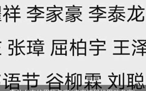 李什么杰的男孩名字(杰字结尾的男孩名字)