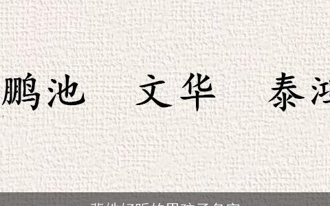 裴姓好听的男孩子名字