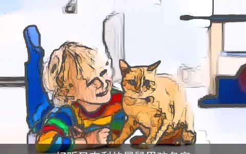 好听又吉利的属鼠男孩名字