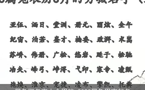 属兔取名字大全男孩 2023属兔男宝起名