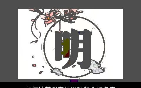 如何给带明字的男孩起个好名字