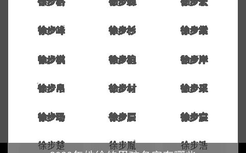 2023年姓徐的男孩名字有哪些