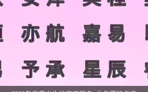 2024年春节出生的宝宝取名 牛年男孩名字