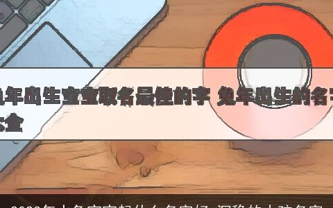 2024年水兔宝宝起什么名字好 沉稳的小孩名字