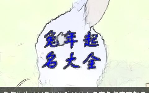 兔年出生的属兔的男孩取什么名字兔年宝宝起名