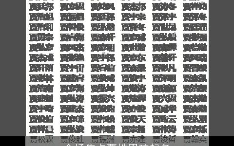 全场焦点贾姓男孩起名