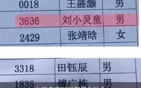 女孩名字2024年属龙缺金