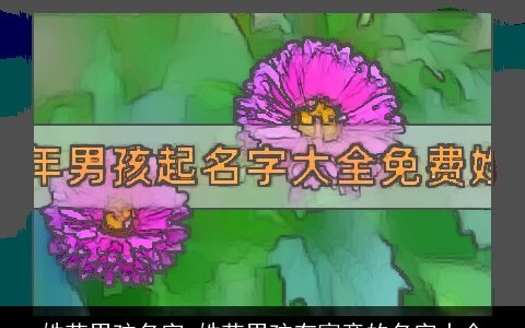 姓花男孩名字 姓花男孩有寓意的名字大全