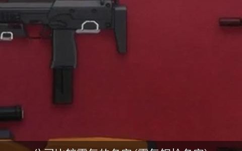 公司比较霸气的名字(霸气钢枪名字)