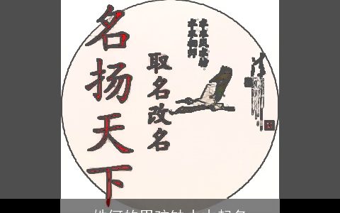 姓何的男孩缺水木起名