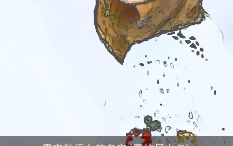 雪字气质女孩名字(雪的日文名)