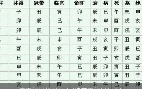 来五行属性是什么(梓字五行属什么)