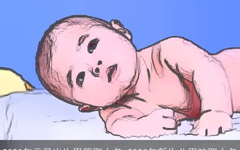 2023年元旦出生男婴取小名 2023年新生儿男孩取小名