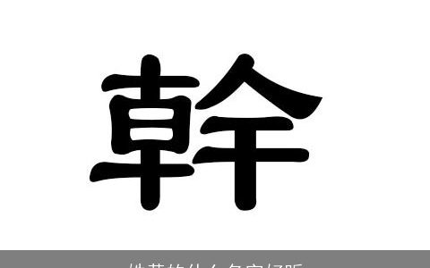 姓黄的什么名字好听