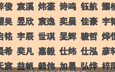 适合取名的成语男孩名字