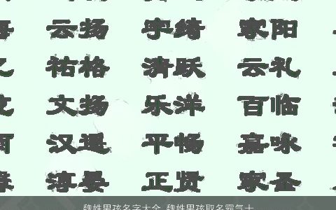 魏姓男孩名字大全 魏姓男孩取名霸气十足 2023帅气霸气的魏姓男孩名字最新