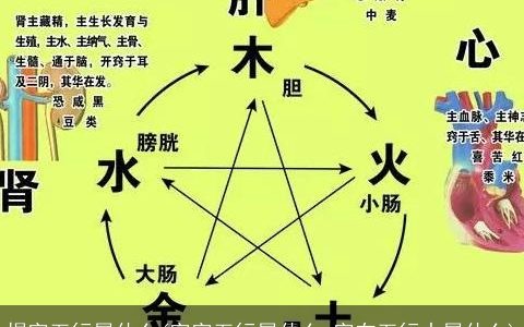 煜字五行属什么(字字五行属什么 字在五行中属什么)