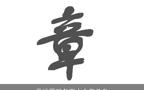 章姓男孩名字大全集单名