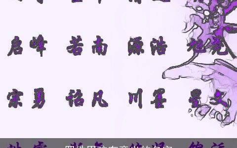 罗姓男孩有意义的名字