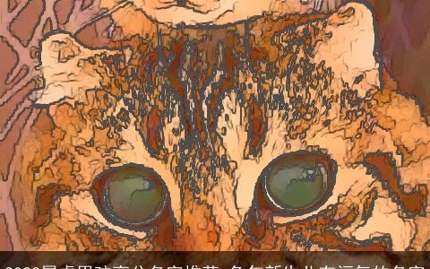 2024属虎男孩高分名字推荐 兔年新生儿有福气的名字