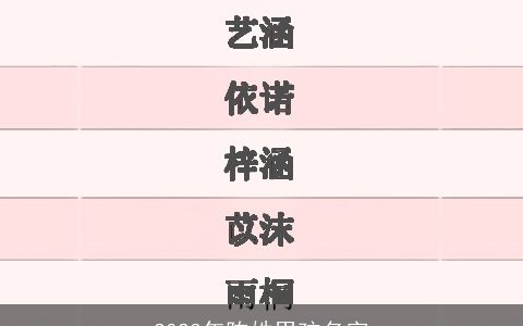 2024年陈姓男孩名字