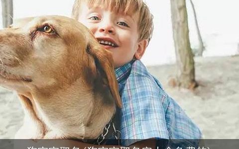 狗宝宝取名(狗宝宝取名字大全免费的)