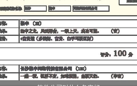 软件公司叫什么名字好