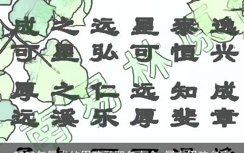 2023年属虎的男孩子取名大全 属虎男孩名字