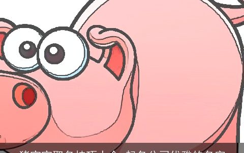 龙宝宝取名技巧大全 起名公司优雅的名字