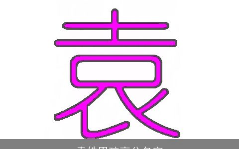 袁姓男孩高分名字