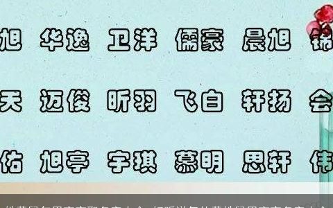 姓董鼠年男宝宝取名字大全 好听洋气的董姓鼠男宝宝名字大全