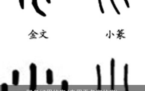 取名好用的字(专用于名字的字)