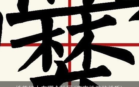 姓羊的人在哪个地区(海南姓羊的姓氏)