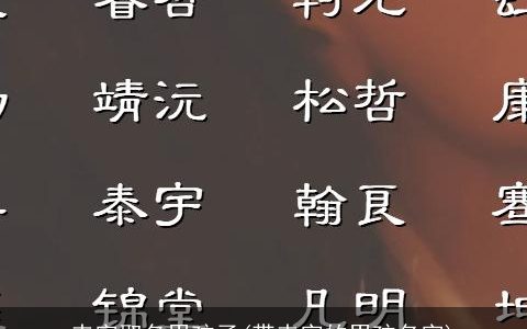 来字取名男孩子(带来字的男孩名字)