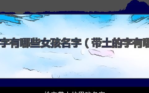 姓宋带土的男孩名字